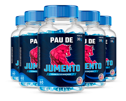 Sem-Titulo-1-1.png Sem-Titulo-1-1.png